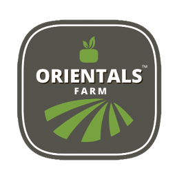 Orientals Farm - Buy Fresh Fruits &amp; Vegetables in Amman Online